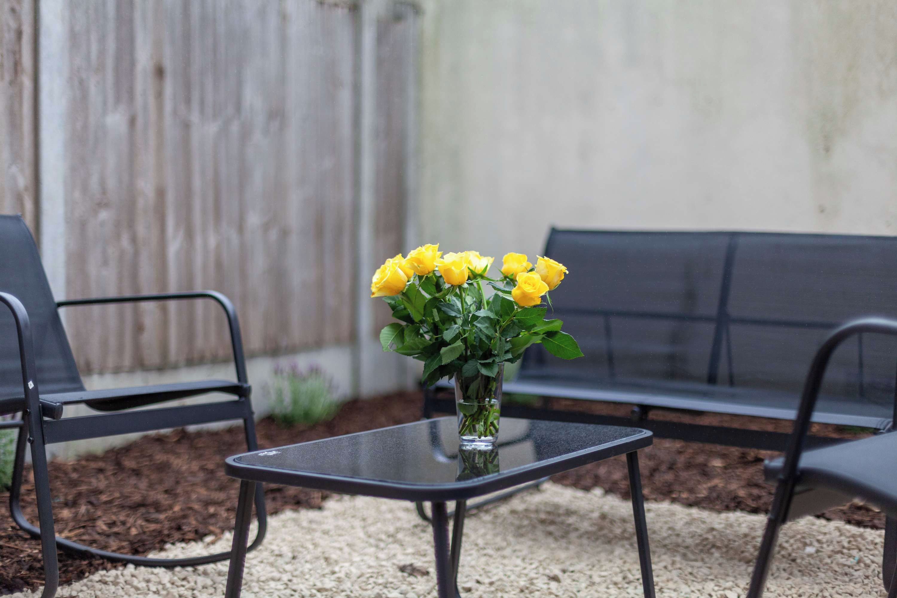 A small table with a vase of yellow flowers, two black chairs, and a wooden fence in the background.