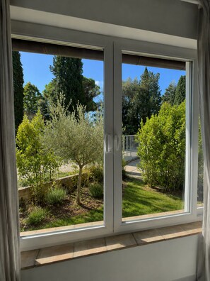 A window with a view of a garden, including trees and a white fence.