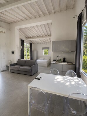 A spacious living area with a sofa, a dining table with chairs, a kitchen area with cabinets, and a large window with curtains.
