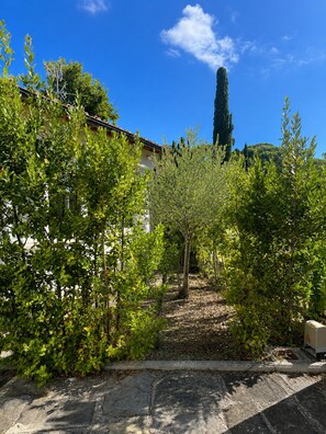 A courtyard with a pathway leading to a building, surrounded by greenery and a clear blue sky.
