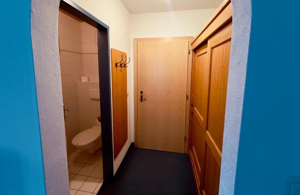 A narrow hallway with a wooden door, a visible toilet, and a blue wall.