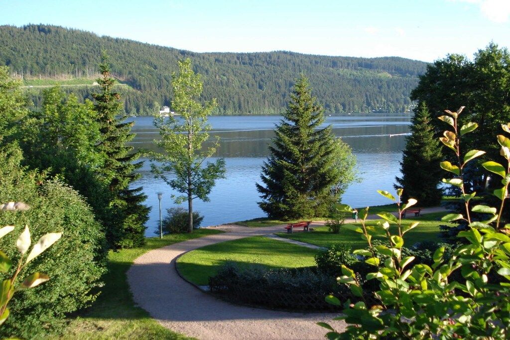 Une vue sur le lac, avec un sentier, des bancs et des arbres.