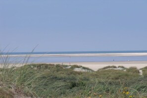 Ein Strand mit Sanddünen und blauem Himmel.