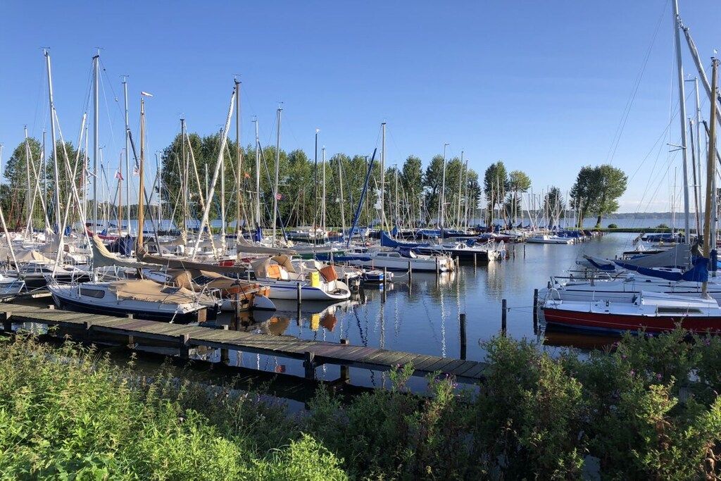A marina with numerous boats docked, surrounded by greenery and clear skies.