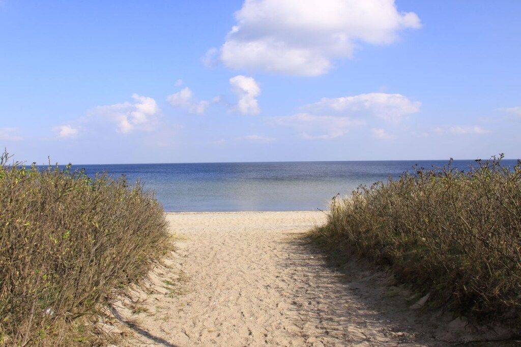A sandy beach path leading to the sea with clear skies.