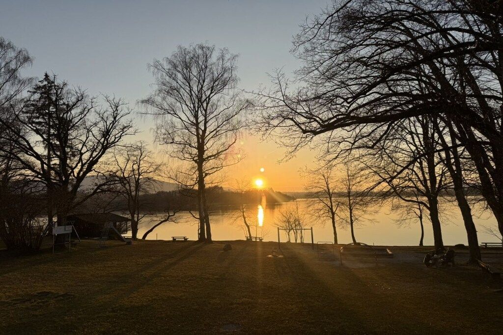 Un parc avec un lac, des bancs et des arbres, au coucher du soleil.