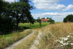 A rural landscape with a dirt path leading to a red-roofed building. - Holiday apartment with 5 bedrooms (Rathmannsdorf)