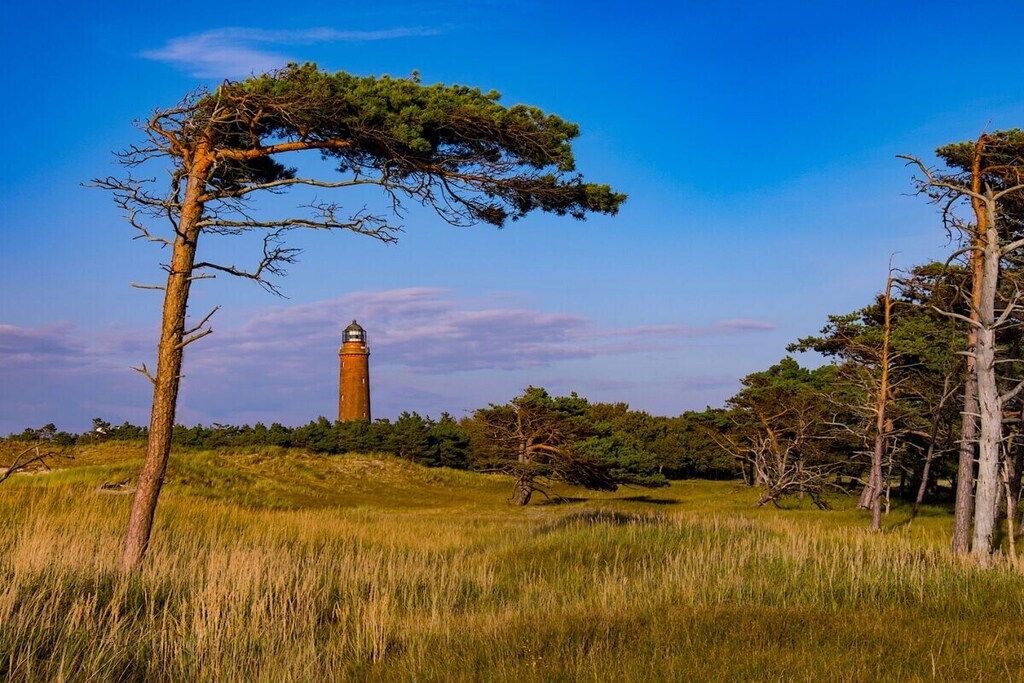 Un faro su una collina erbosa, circondato da alberi.