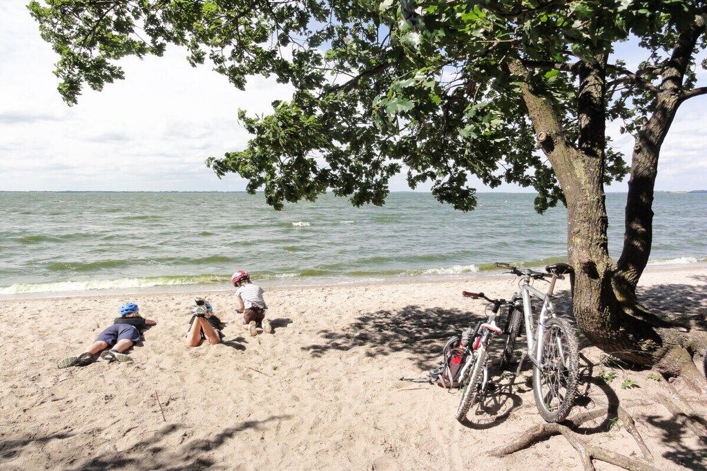 Uma praia com uma bicicleta estacionada sob uma árvore, uma pessoa deitada na areia e outra sentada.