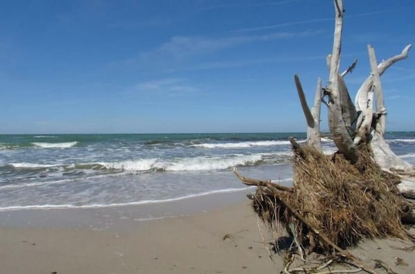A beach with a large driftwood structure and waves in the background. - Holiday home in Prerow with swimming pool (Prerow)