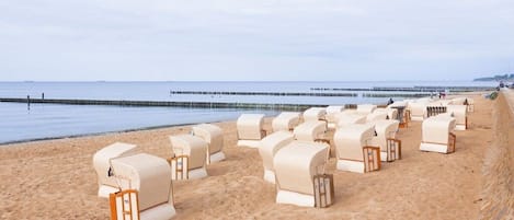 A beach with rows of white beach chairs and umbrellas, a wooden pier in the background, and a clear sky.