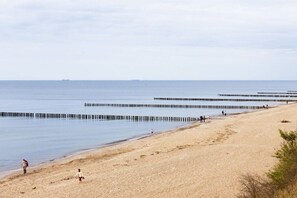 Ein Strand mit sandigem Ufer, einem ruhigen Meer und einem Steg, der sich ins Wasser erstreckt.