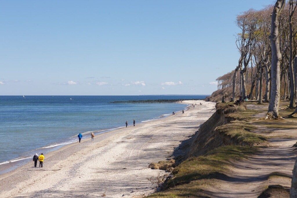 A beach with a clear sky, a sandy shore, and a row of trees along the right side.