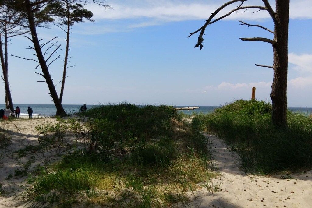 Een strand met zand, schaarse begroeiing en een heldere lucht.
