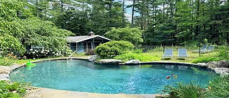 Une piscine entourée d’une végétation luxuriante et un petit bâtiment, probablement un espace sauna ou un jacuzzi.