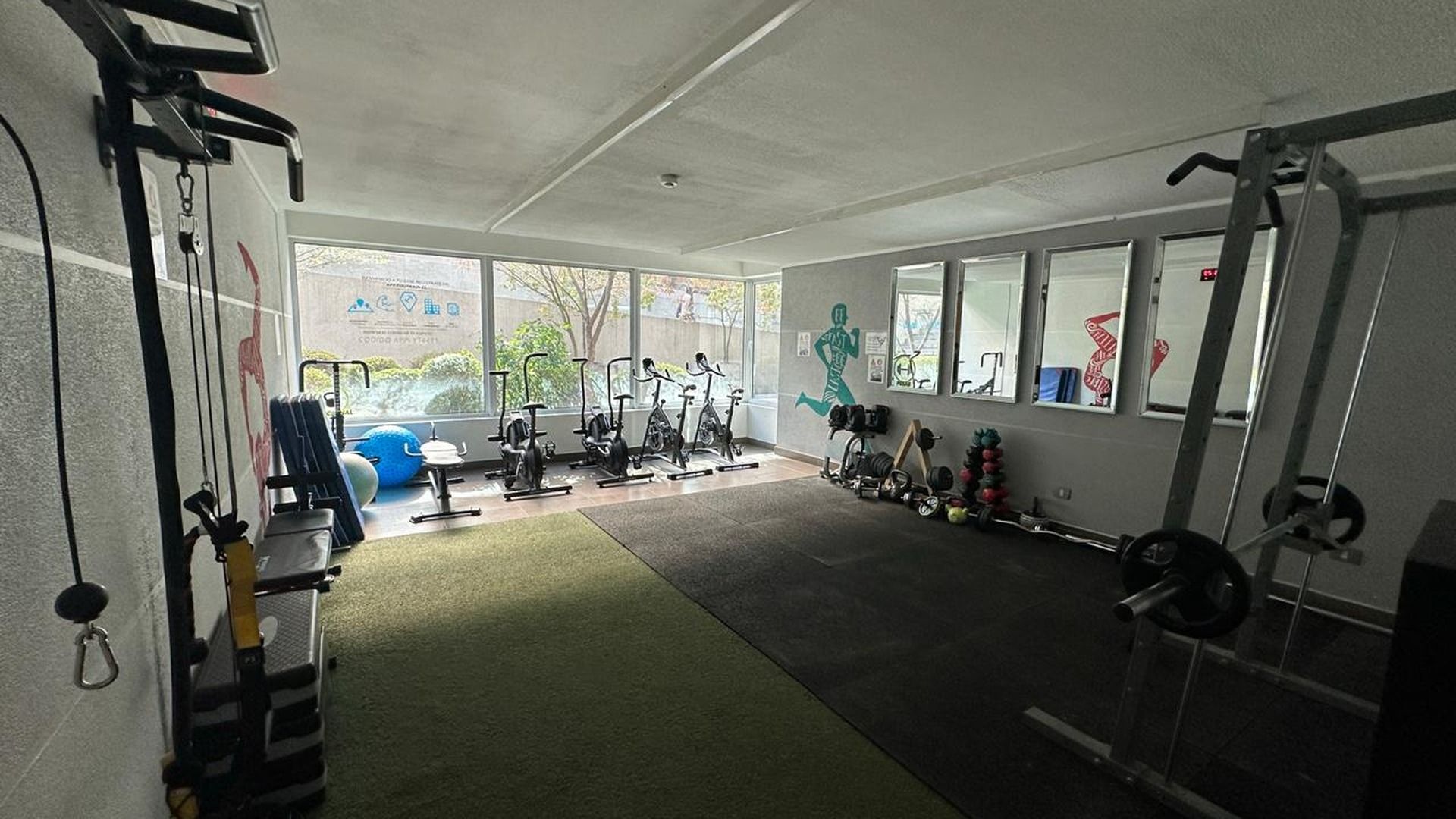 Un gimnasio con equipo de ejercicio, amplias ventanas y una alfombra verde.