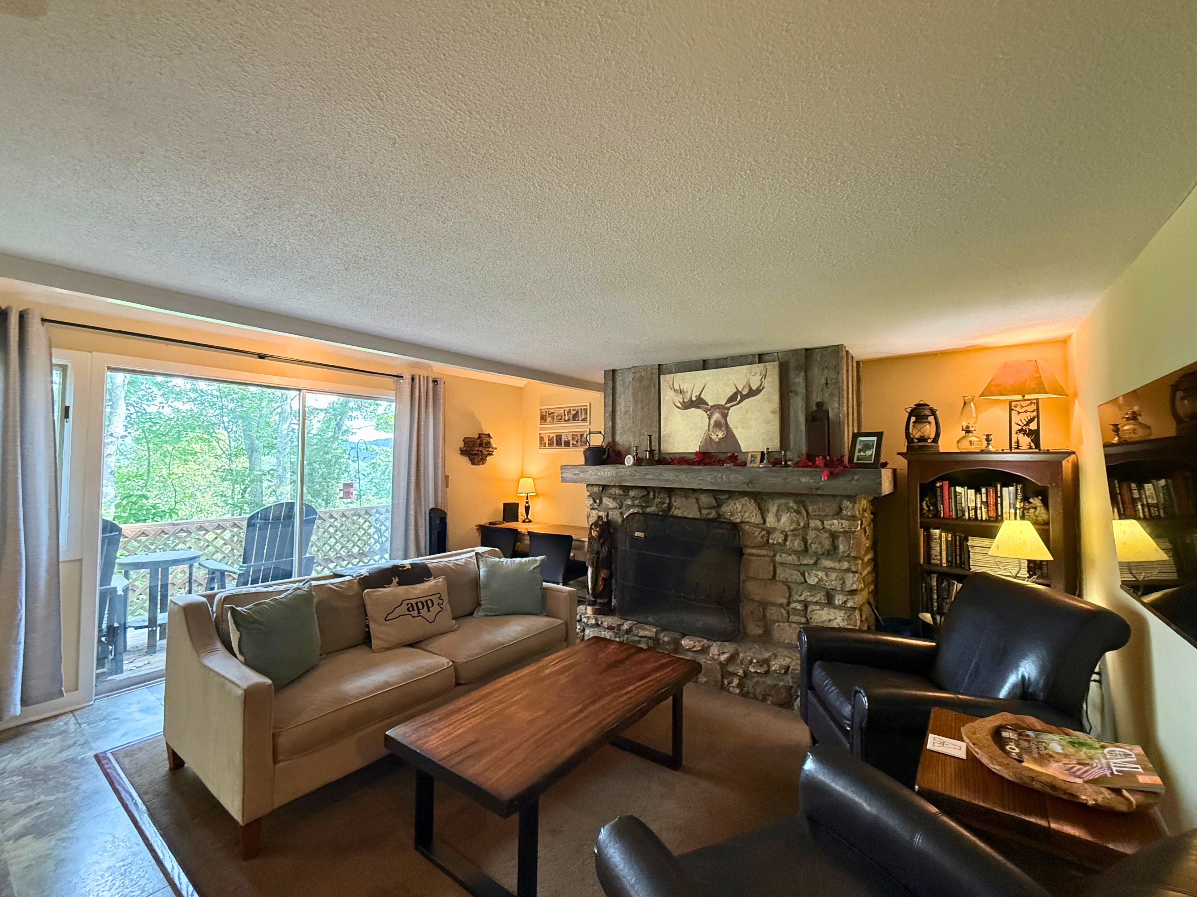 TV, fireplace