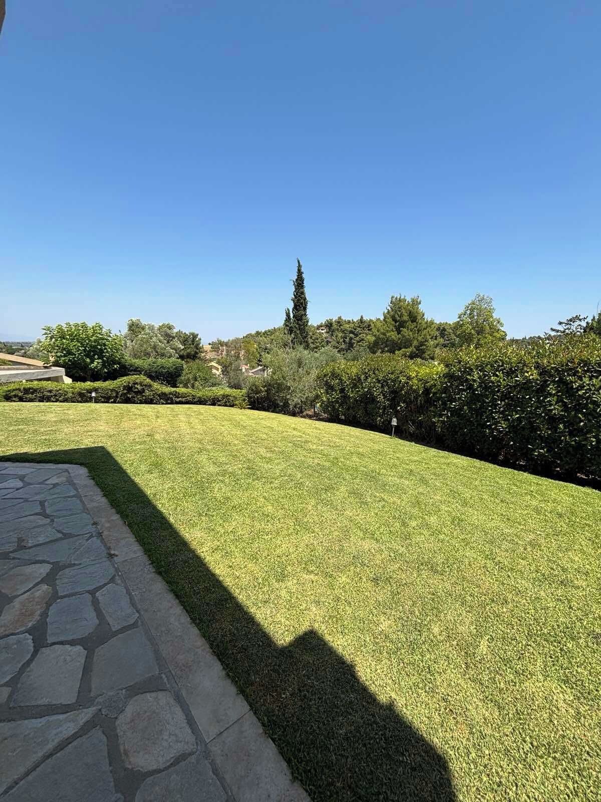 A well-maintained lawn with a stone pathway leading to a building.
