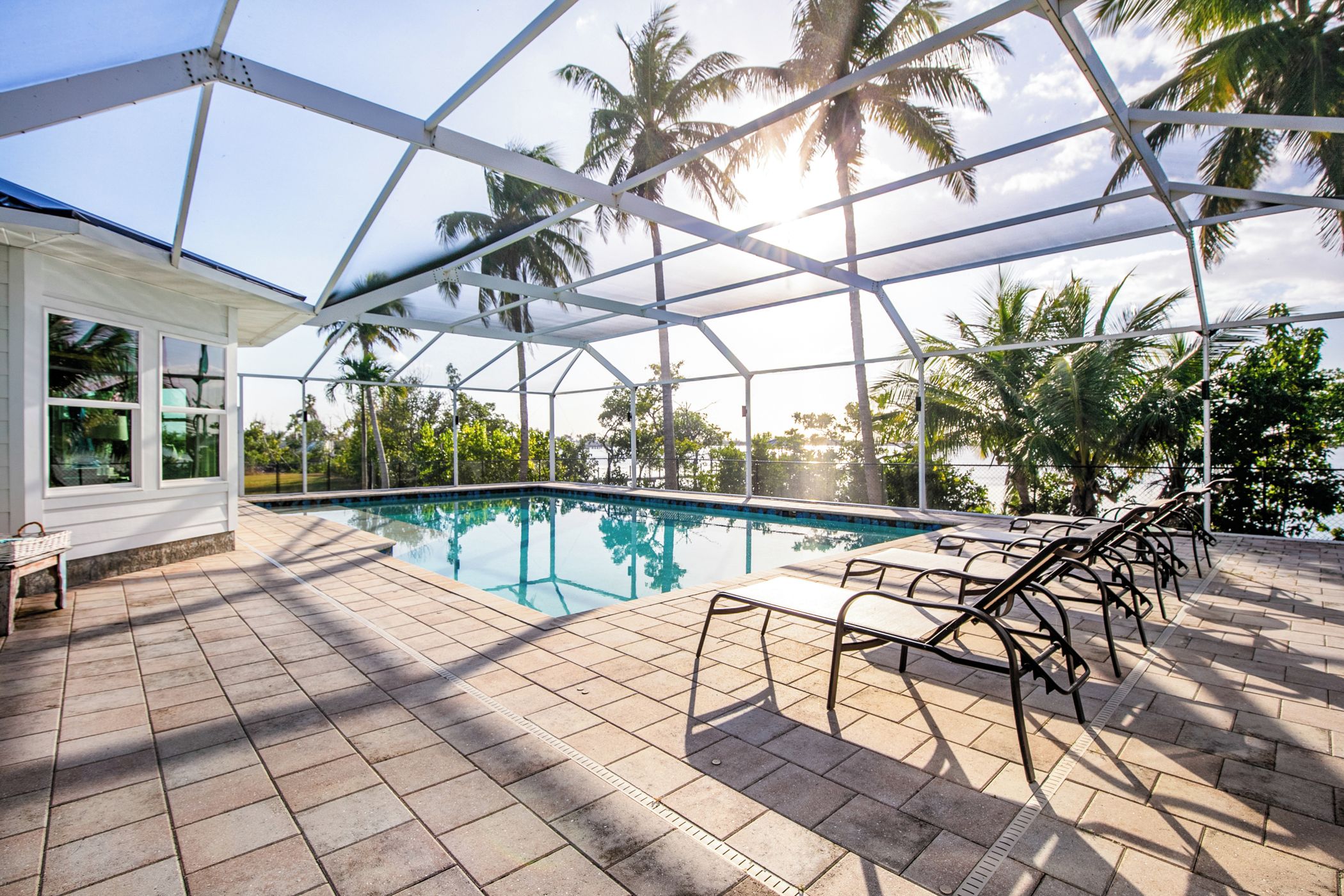 Una piscina interior con un patio cubierto, rodeada de palmeras y un cielo despejado.