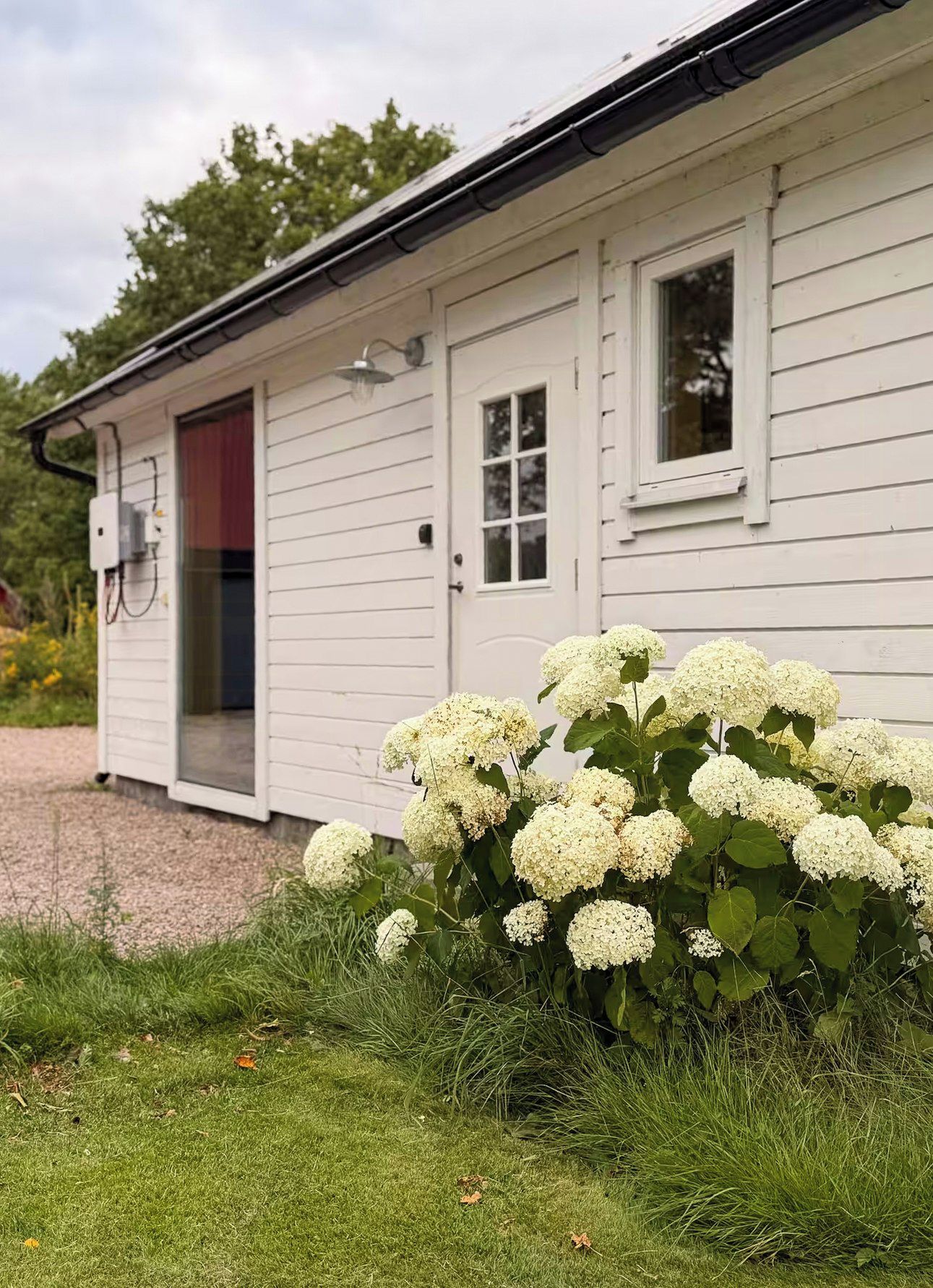 En vit byggnad med en dörr och fönster, omgiven av grönska och en grusgång.