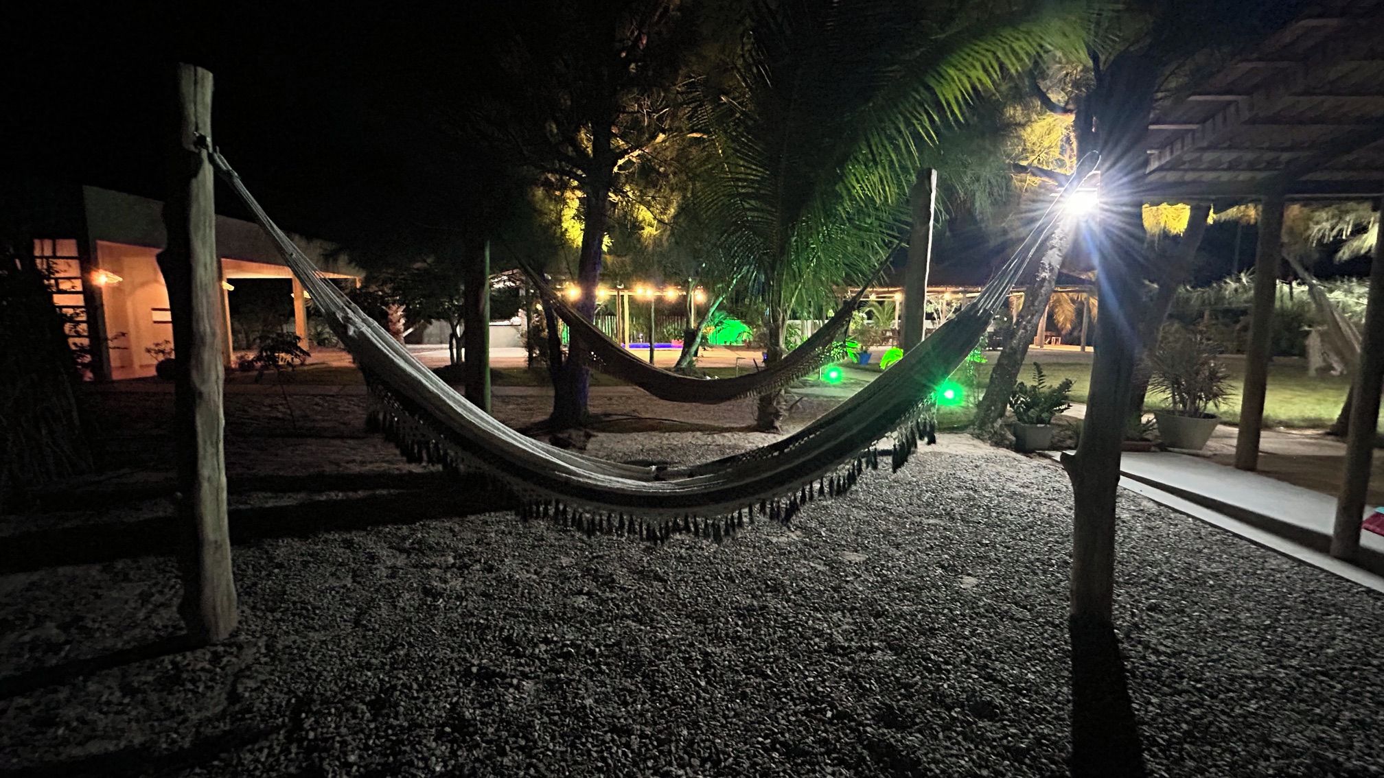 A hammock between trees in a well-lit outdoor area with a building in the background.