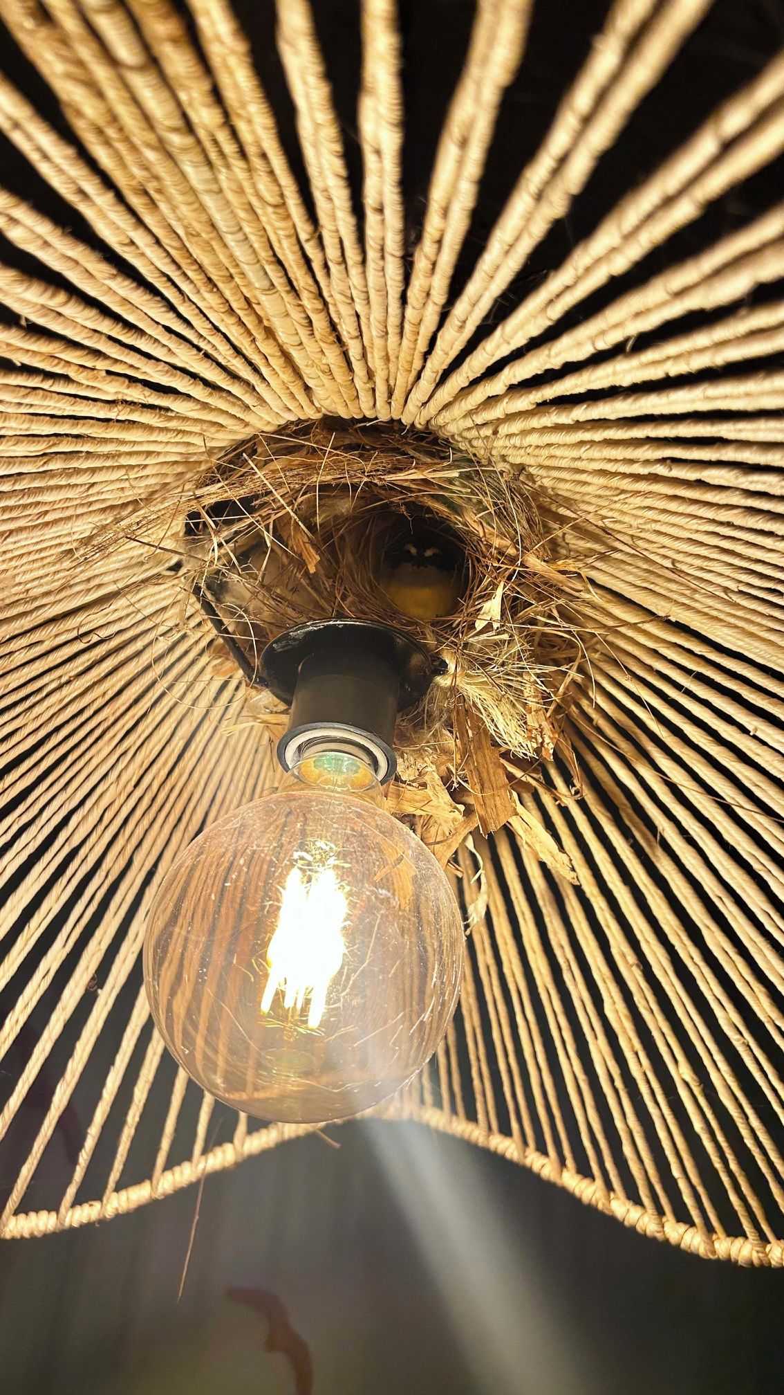 A close-up of a light fixture with a damaged glass cover and a visible filament.