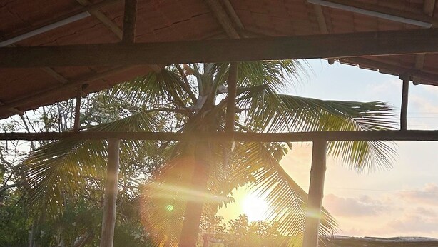 An outdoor seating area with wicker furniture under a thatched roof, overlooking a palm tree and a sunset.