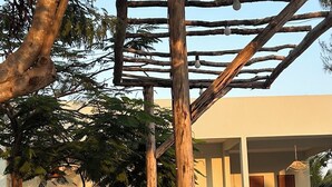 A wooden pergola structure with a table and chairs underneath, surrounded by grass and trees.