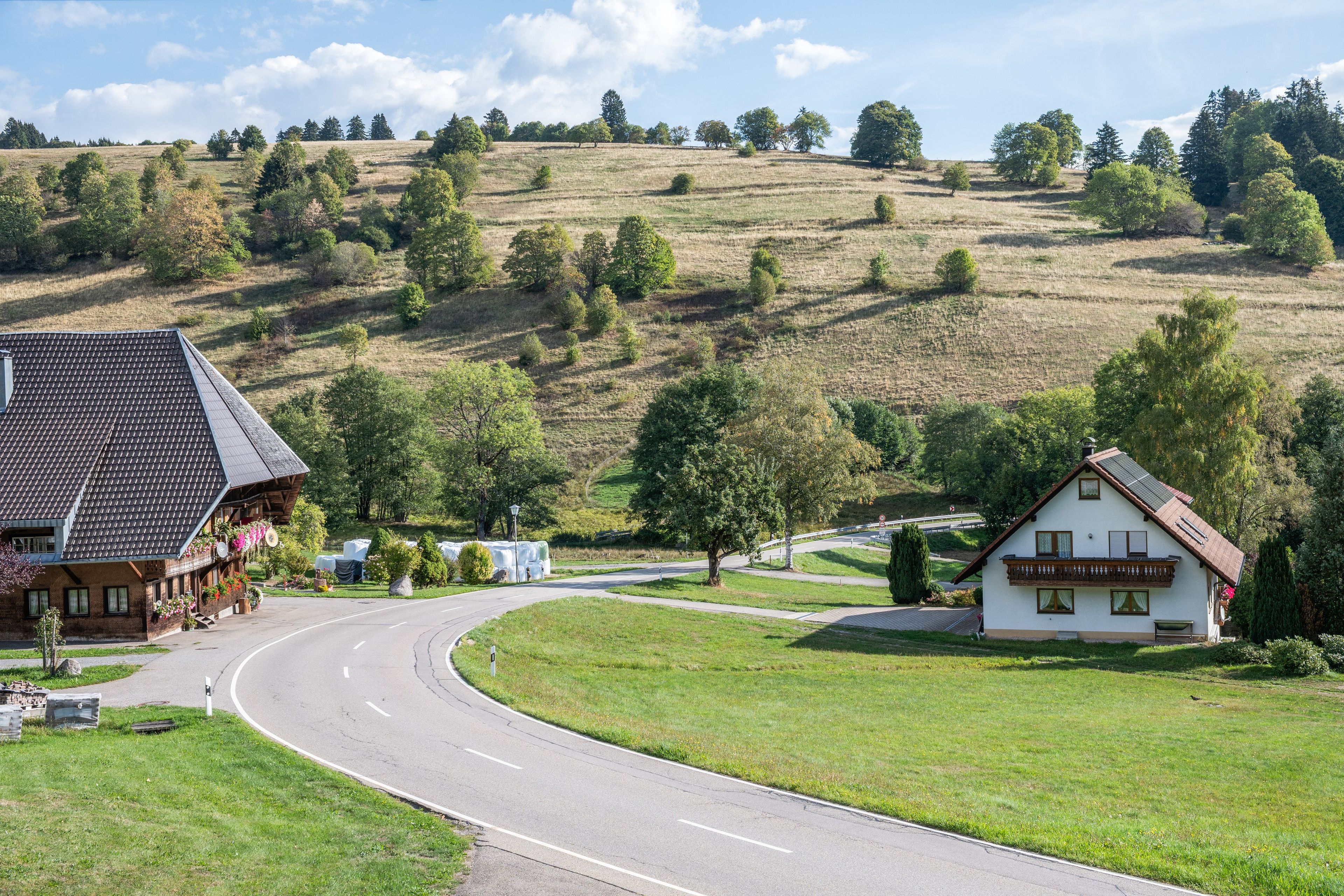 Eine ländliche Straße schlängelt sich durch eine Landschaft mit zwei Gebäuden, eines mit Satteldach und das andere mit Giebeldach.