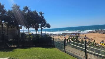 Una playa con palmeras, una valla y cielo despejado.
