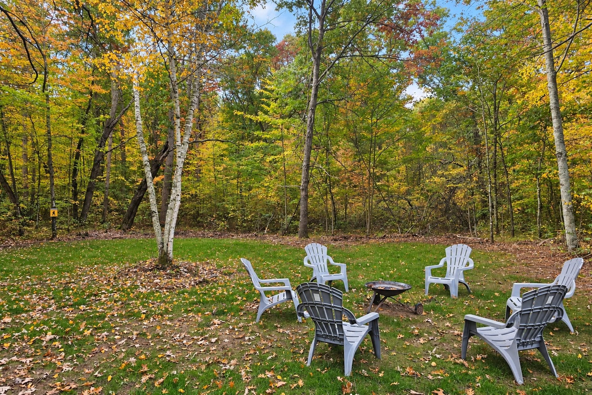 A forest with chairs and a fire pit.