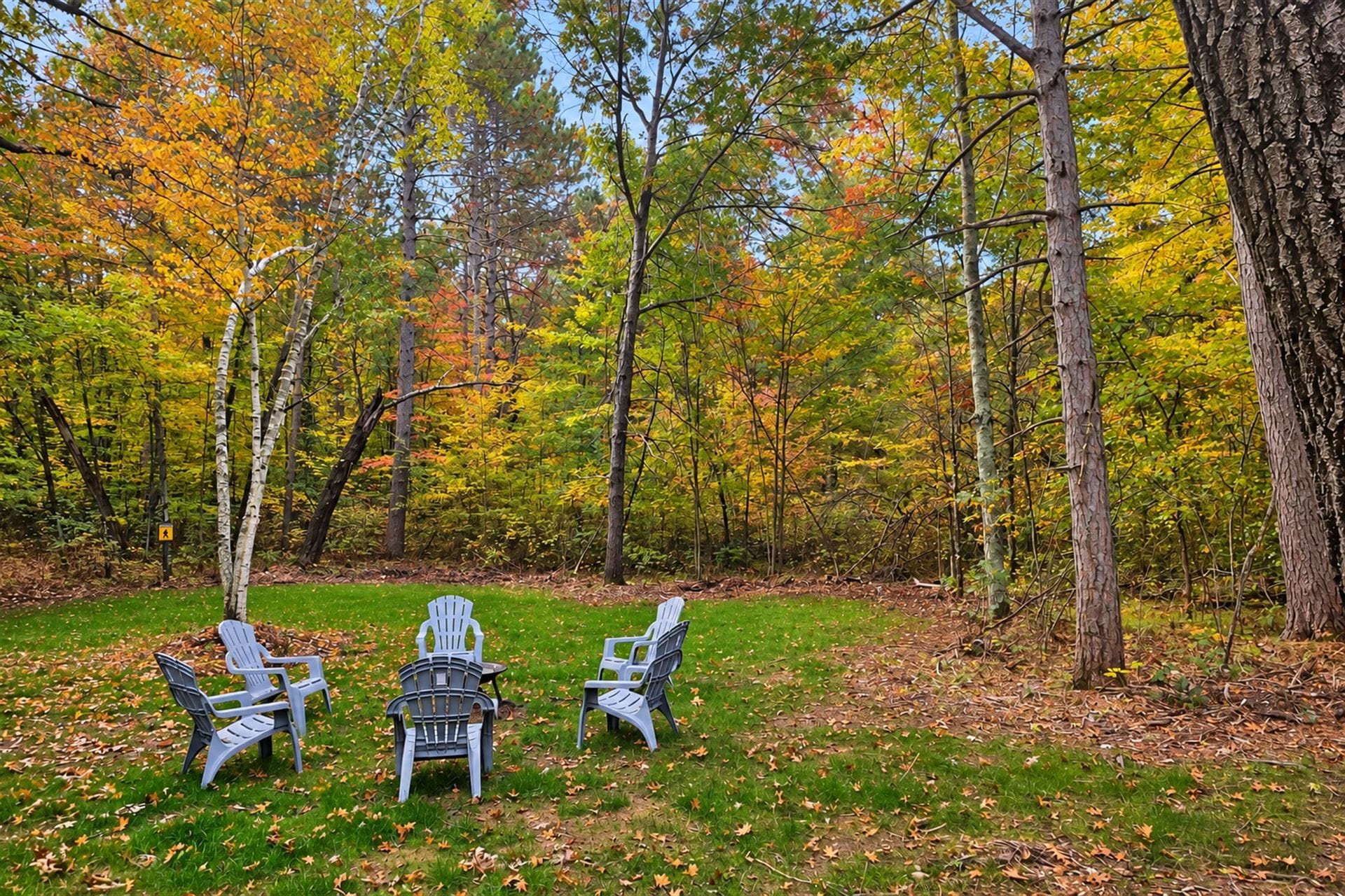 A forested area with three Adirondack chairs on a grassy field.
