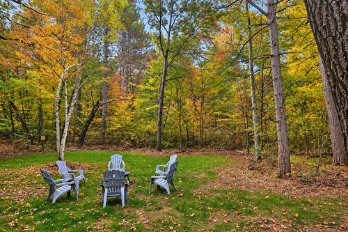 Brand New! Peaceful Wooded Retreat in Holcombe!