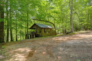 A rustic cabin surrounded by dense forest. - Group of 6 Cabins on 92-acre Farm in Marion (Marion)