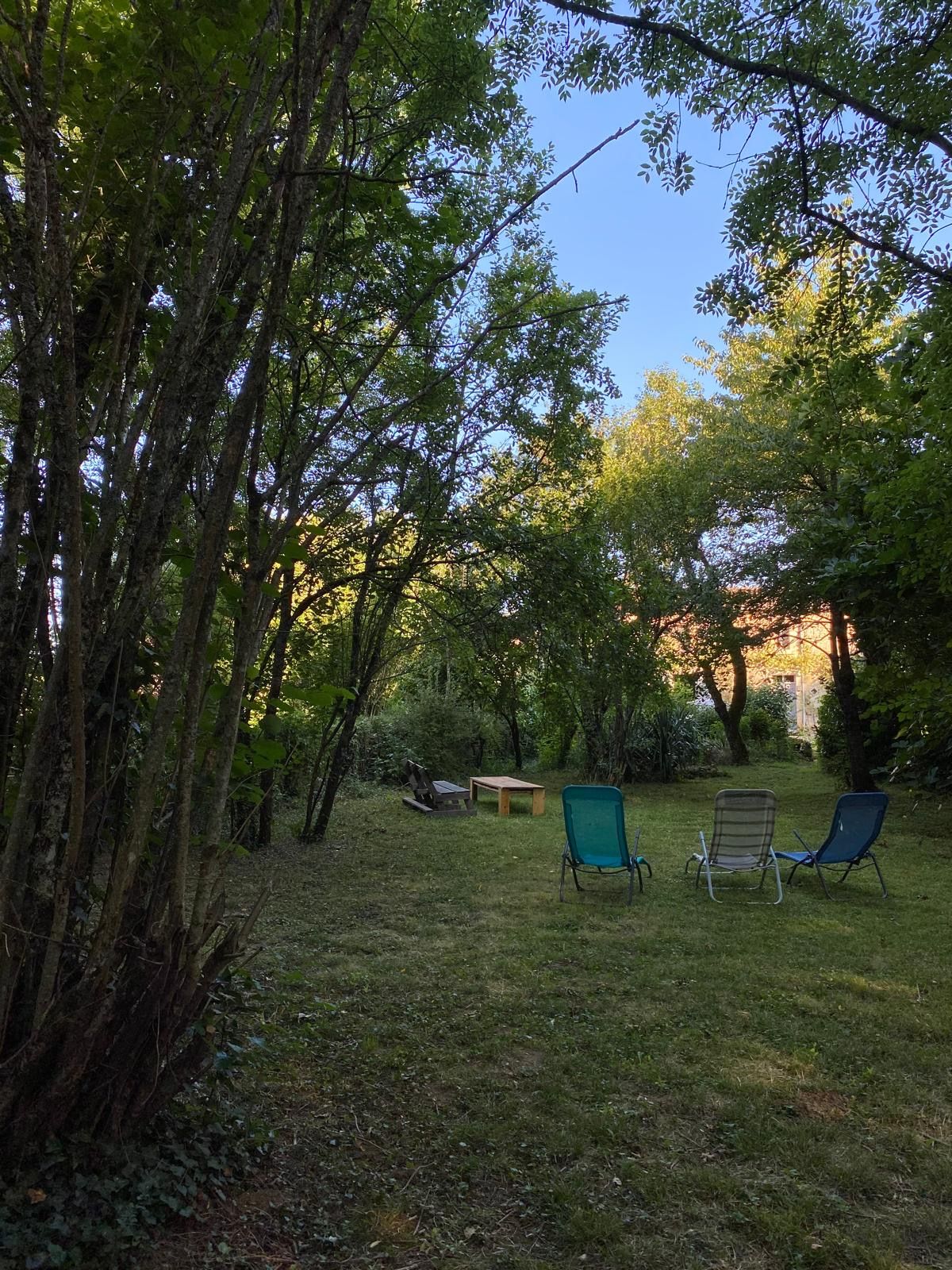 Un espace extérieur aménagé avec une table et des chaises, entouré d’arbres et d’herbe.