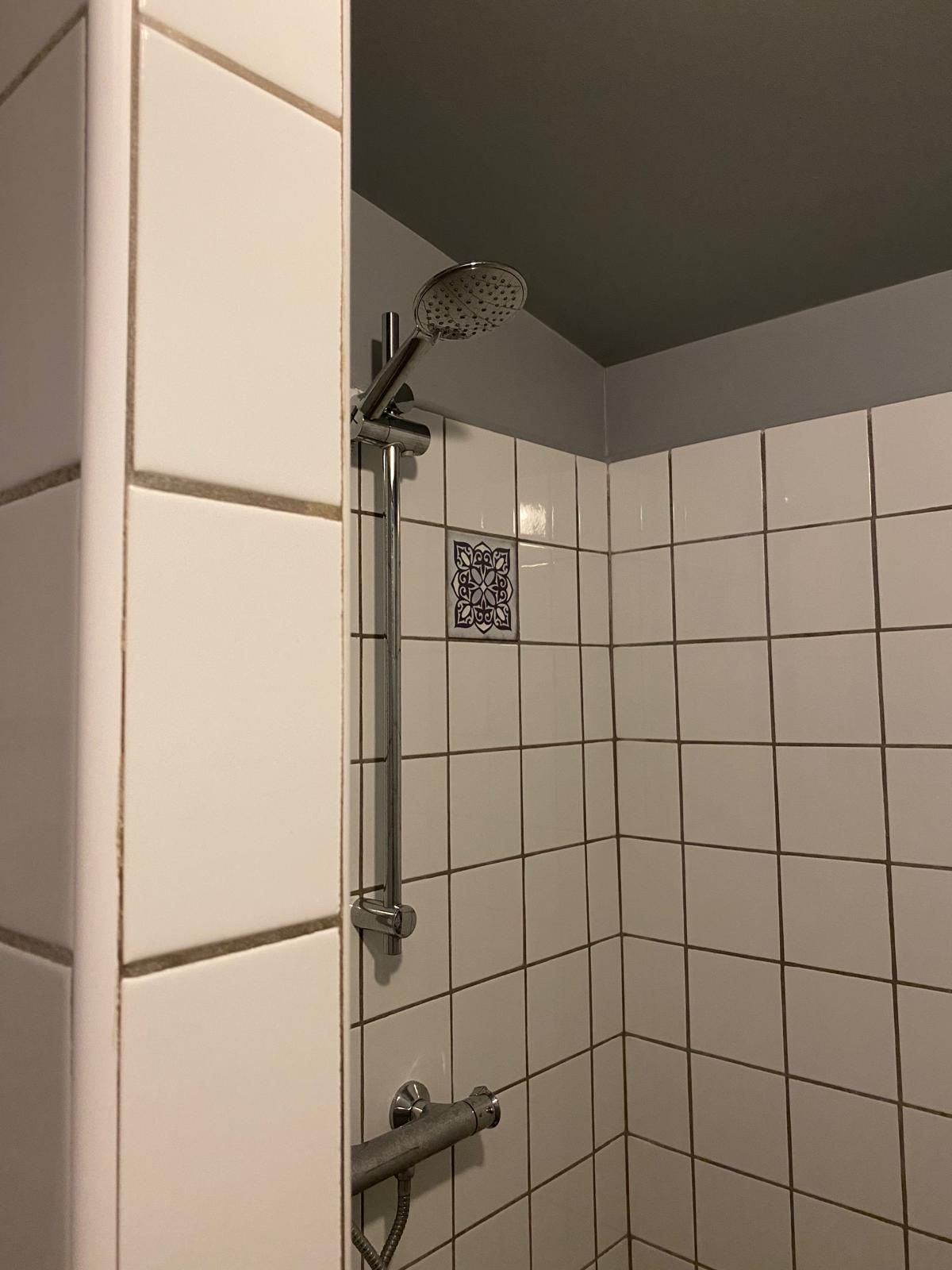 Una dutxa amb plat de robaç, comandament fixat a la paret i un petit mosaic decoratiu.