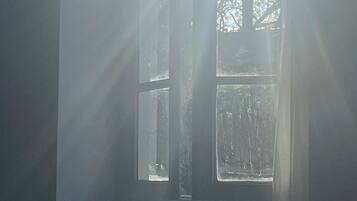 Ein Fenster mit Blick auf Bäume, durch das die Sonne scheint.