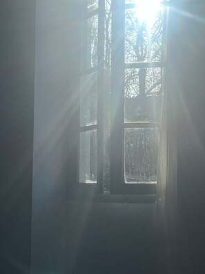 Una finestra che si affaccia su alberi, con la luce del sole che filtra.