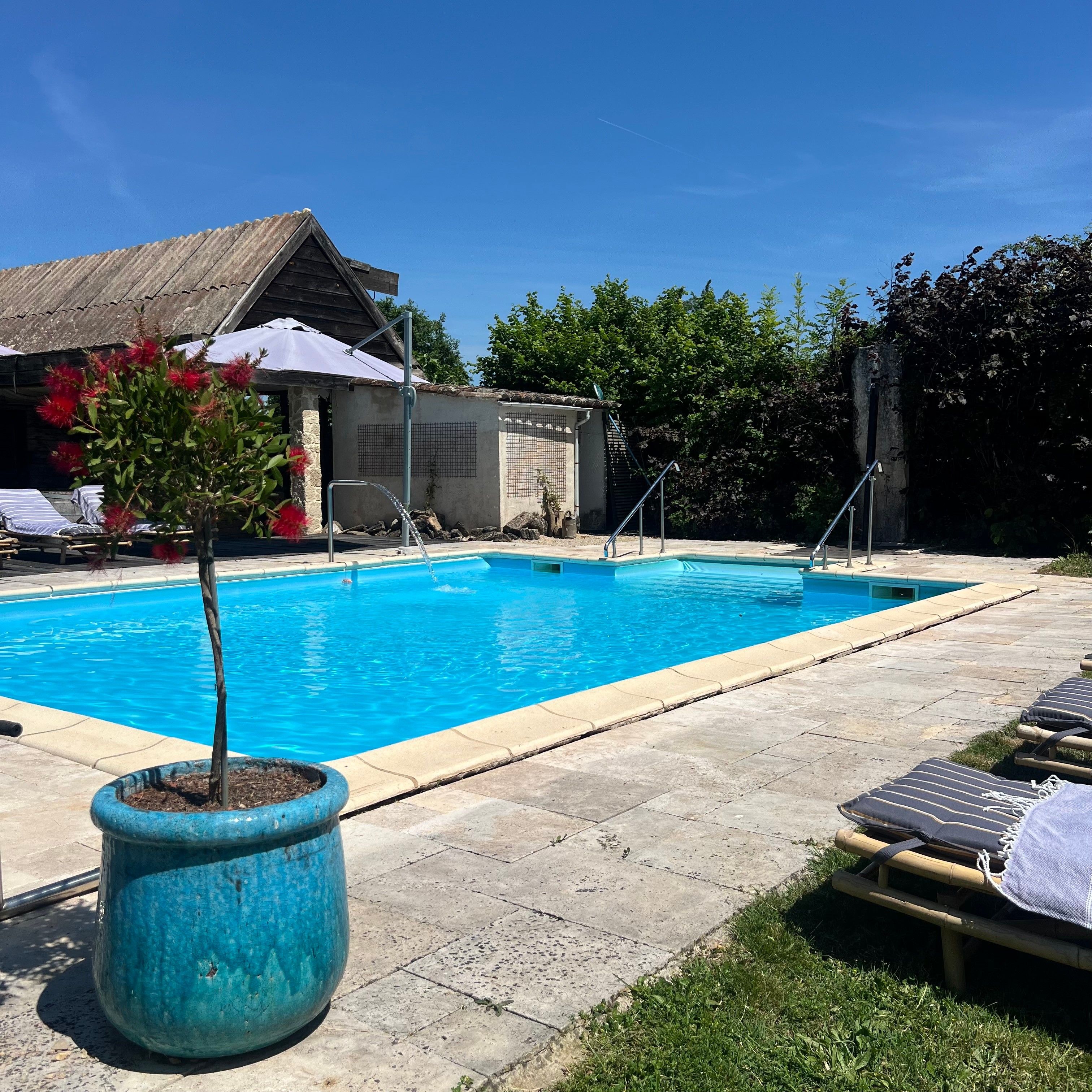 A swimming pool with lounge chairs and a potted plant.