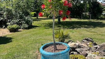 A potted tree with red flowers in a blue pot on a concrete surface.