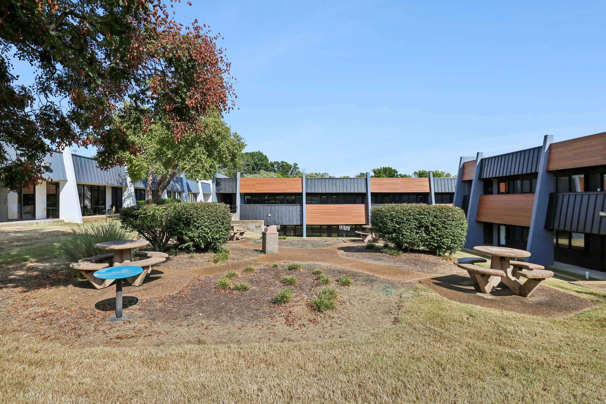 A courtyard with outdoor seating, a tree, and modern buildings with large windows.