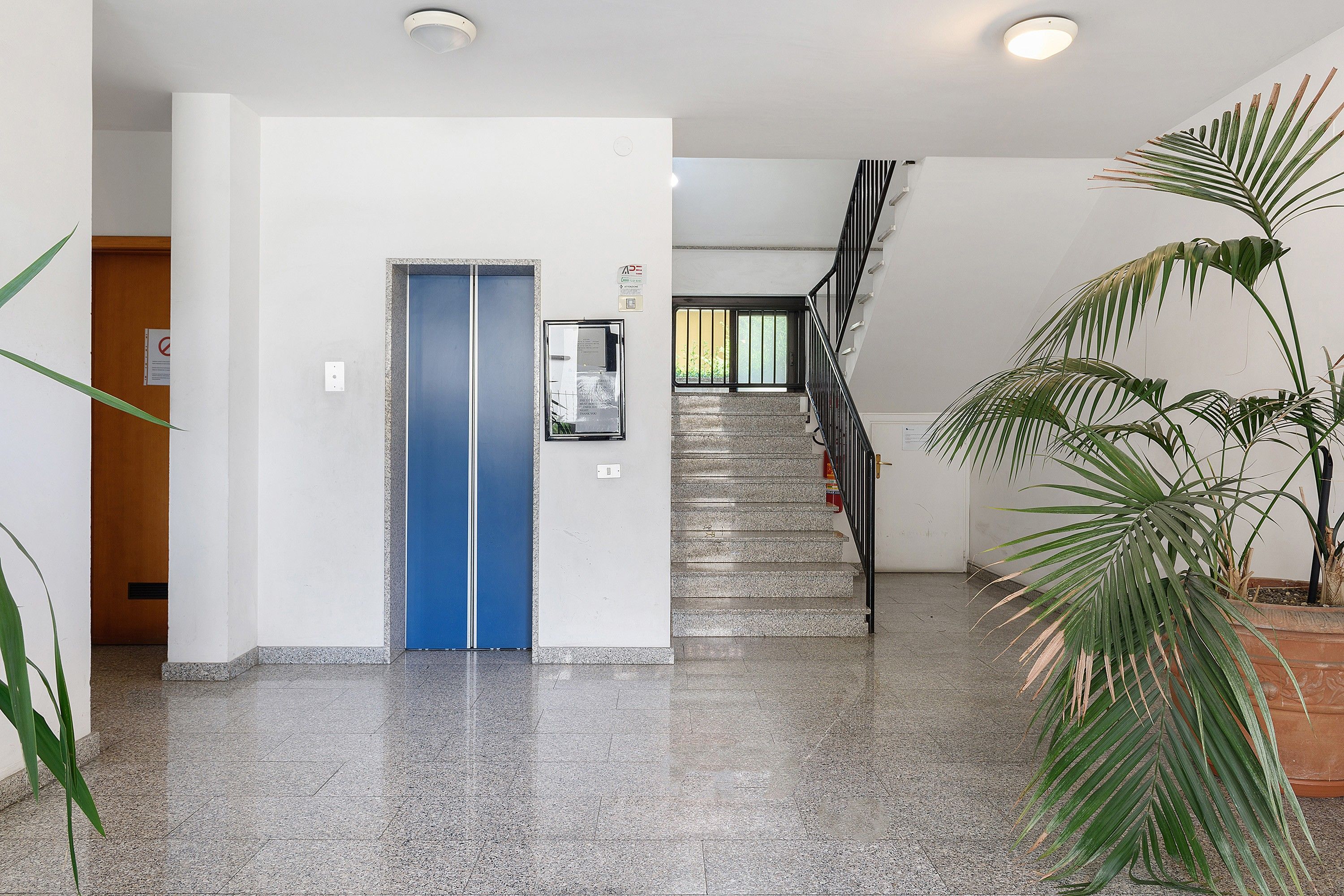 A hallway with a blue door, a staircase, and a potted plant.