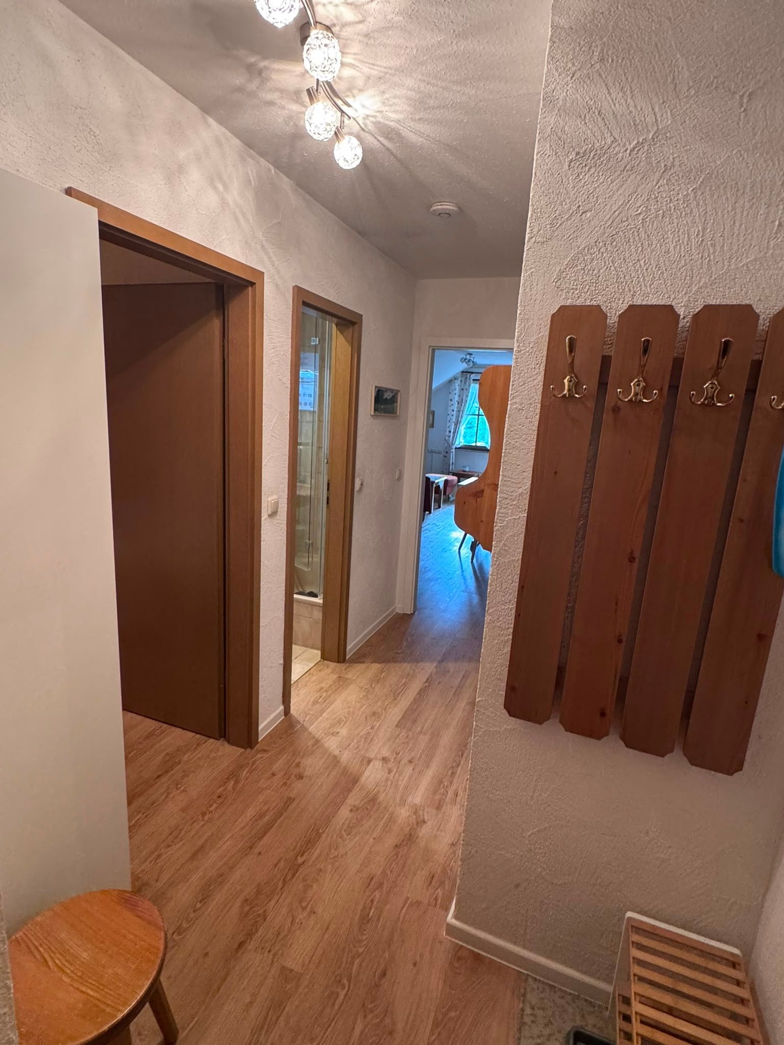 A hallway with wooden flooring, a door, and a wall-mounted coat rack.