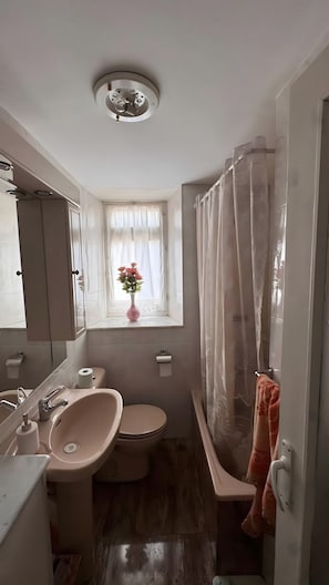 Ein Badezimmer mit Toilette, Waschbecken und Duschvorhang.