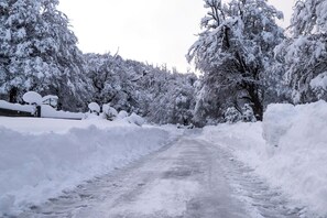 A snow-covered road flanked by trees.