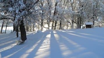 A snow-covered forest path leading to a cabin.
