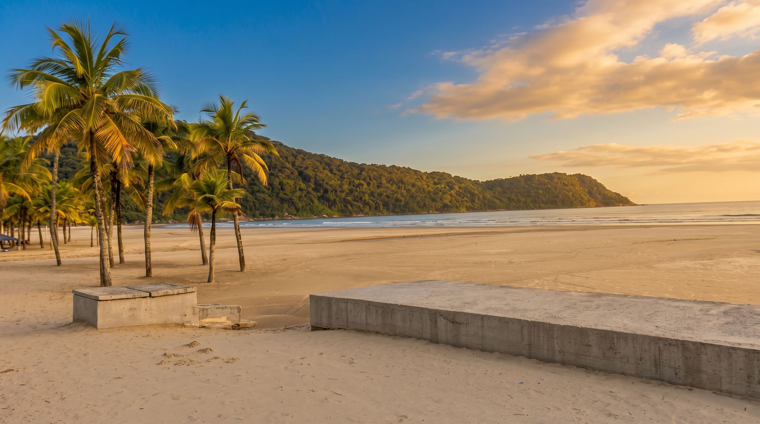 Una playa con palmeras, un banco de hormigón y vistas al océano y una colina boscosa.