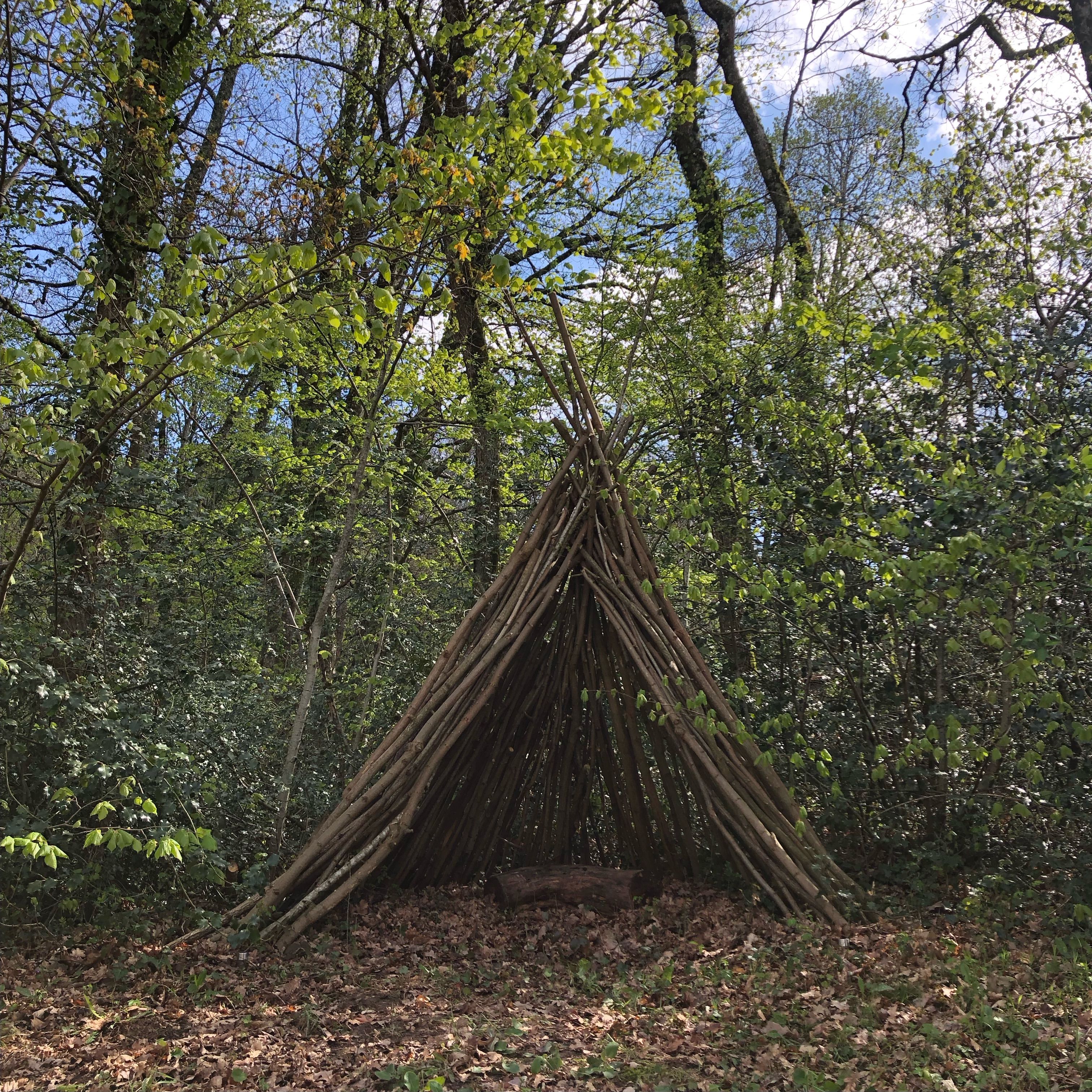 Boden bedeckt mit Blättern und eine hölzerne Konstruktion, die einem Tipi ähnelt.