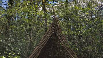 Boden bedeckt mit Blättern und eine hölzerne Konstruktion, die einem Tipi ähnelt.
