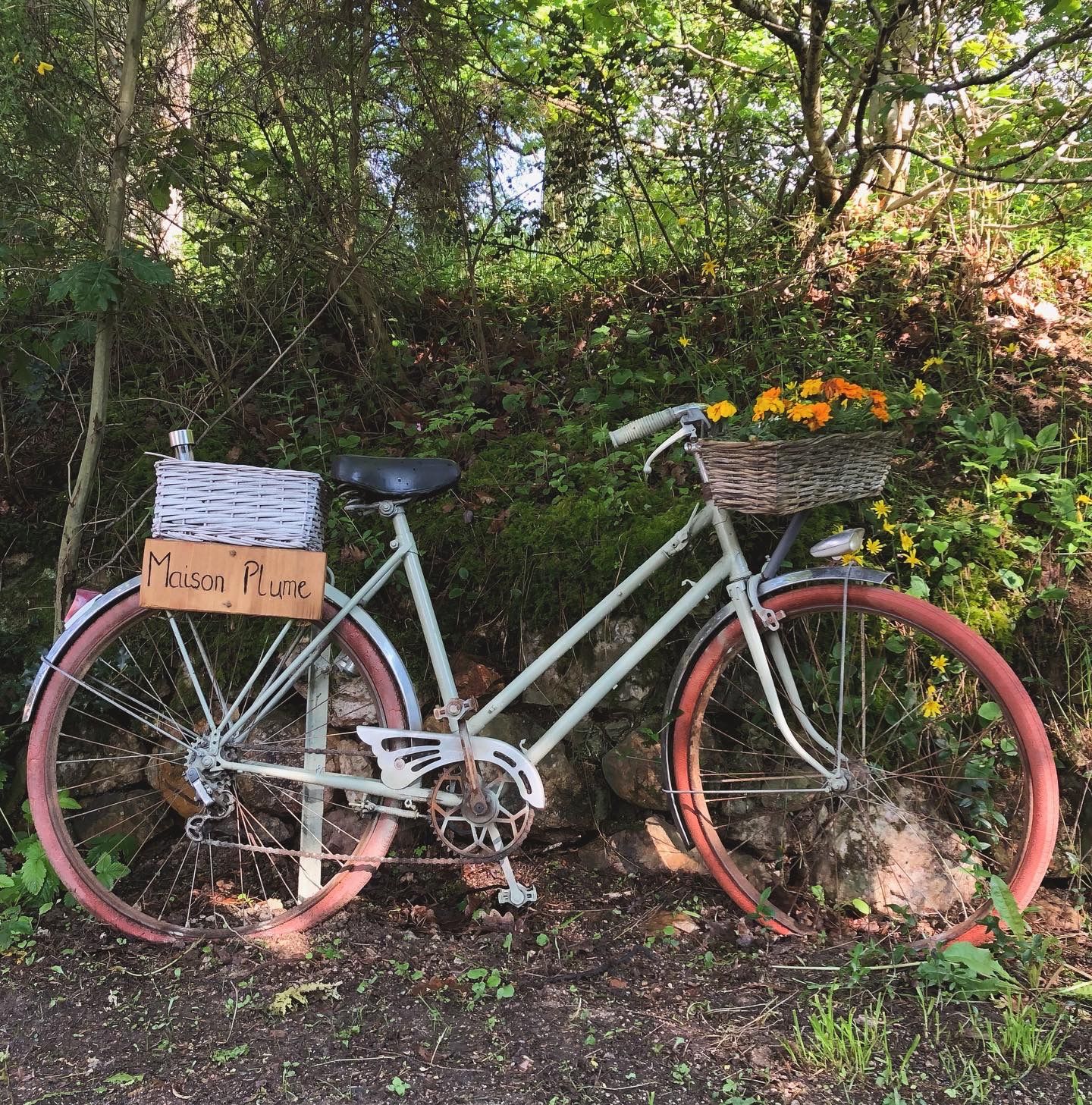 A vintage bicycle with a wicker basket and a sign reading 'Maison Plume' parked on a dirt path surrounded by greenery.